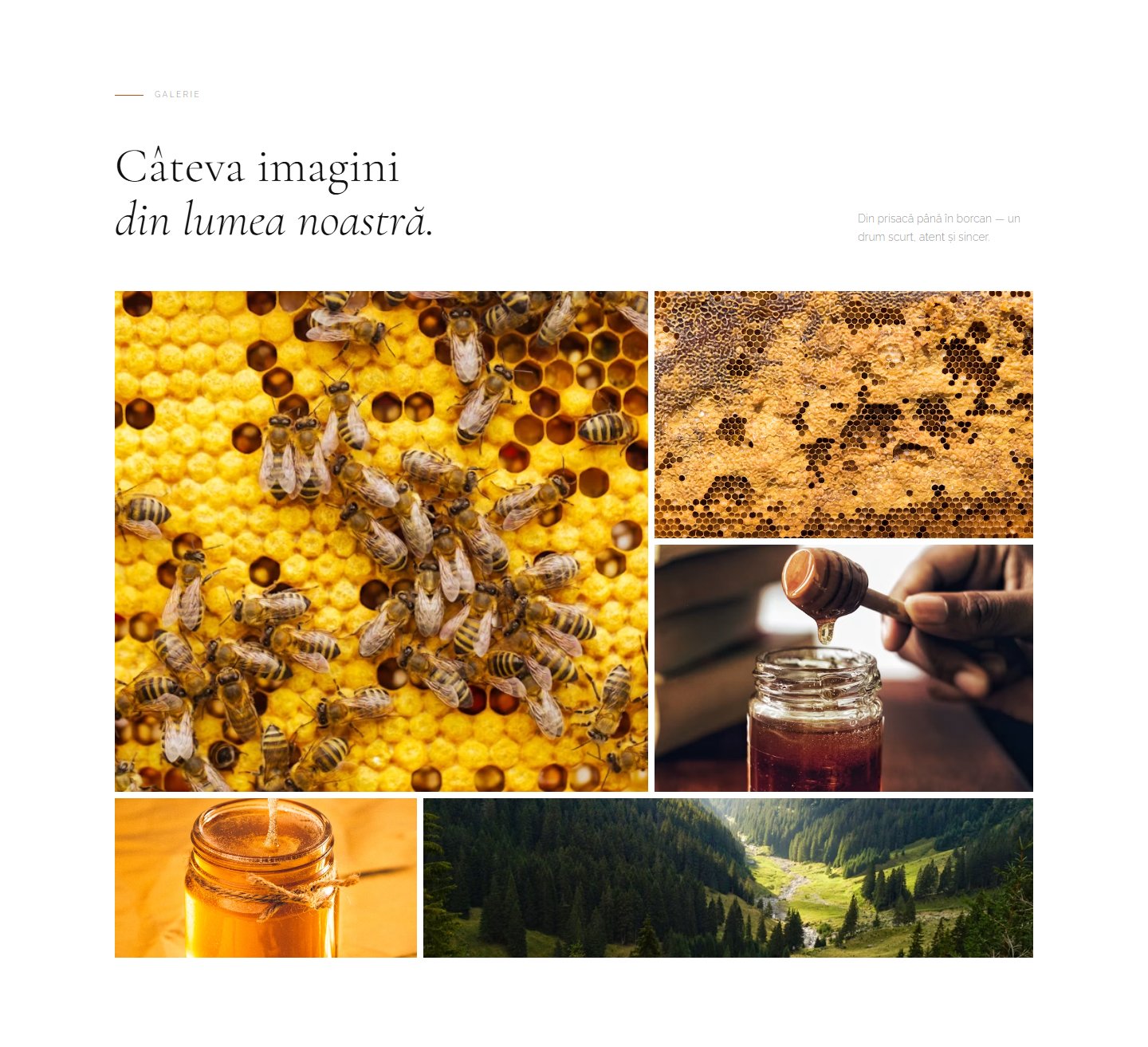 Galeria foto de pe honeytransylvania.ro